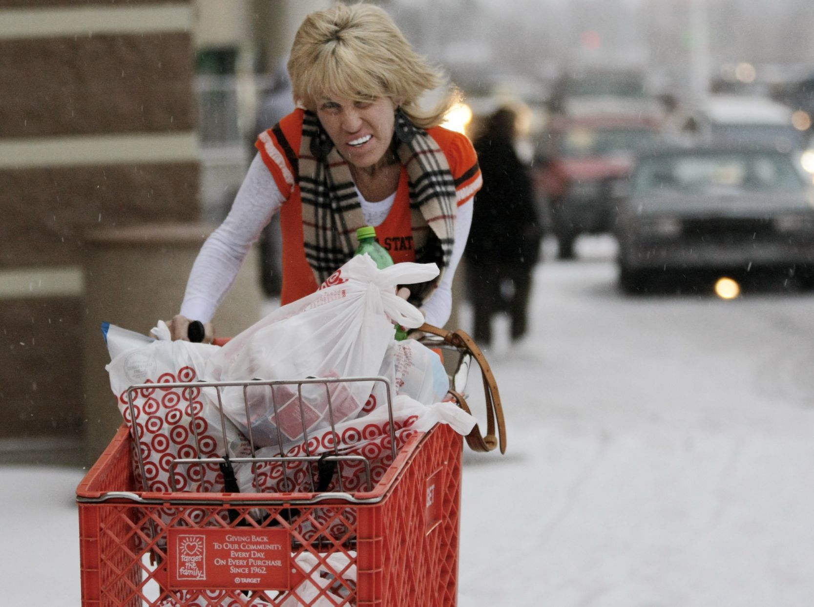 2009 blizzard